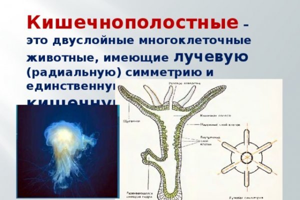 Где взять ссылку кракена