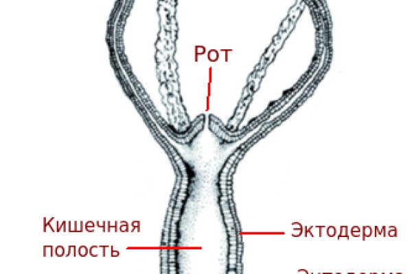 Кракен сайт в тор браузере